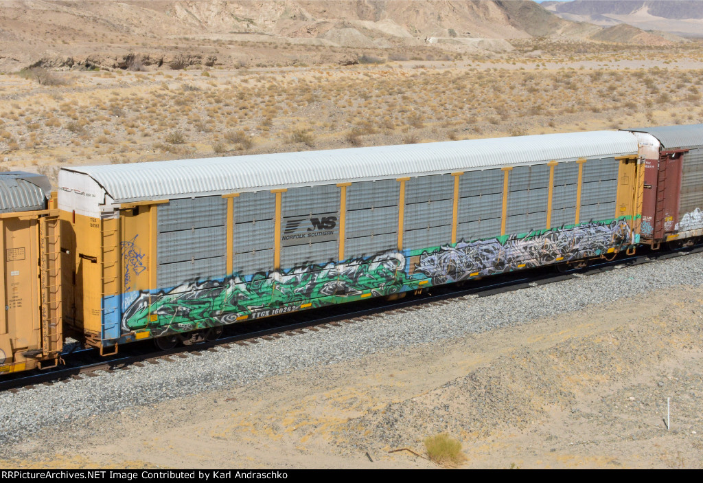 TTGX 160262
